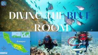 Curaçao's Top Family Dive sites - Blue Room/Mushroom Forest/WaterMula/Tugboat