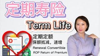 【保险】定期人寿保险 Term Life Insurance