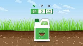 How to Choose Lawn Fertilizer (2 Steps)