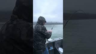 Sturgeon fishing 2025