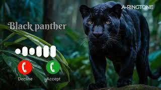 BEST Black Panther RINGTONE EVER? #blackpanther #ringtone #keepsupporting #agiri