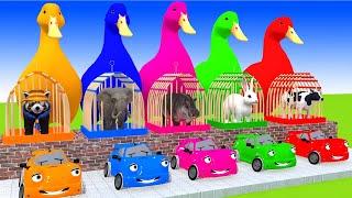 5 Giant Duck Cartoon,Cow,Tiger,Elephant,Sheep,Monkey Paint Wild Animals Crossing Fountain Animation