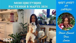 ЦВЕТУЩИЕ РАСТЕНИЯ В МАРТЕ 2024