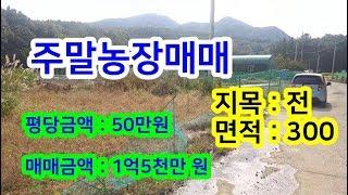 186. 장동리 주말농장매매 도로에 잘 접한 전매매 대송면 밭매매 포항주말농장  포항공단과 가까운 농장매매 농지매매