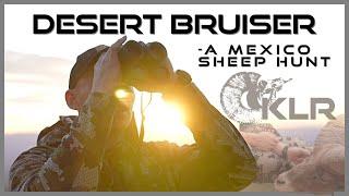 Desert Bruiser - a Mexico Sheep Hunt