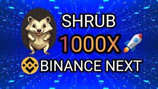 BIG BANG SHRUB COIN BINANCE LISTING || ELON MUSK NEW PET || 1000X SOON 