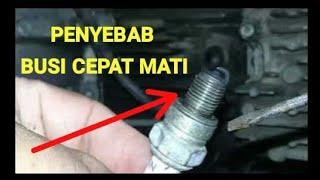 PENYEBAB BUSI MOTOR CEPAT MATI | SUZUKI SMASH 110 SHOGUN 110 SHOGUN 125 SATRIA FU |