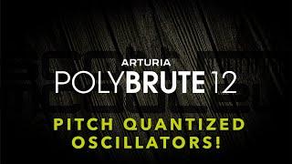 Arturia PolyBrute 12 - Pitch Quantized Oscillators