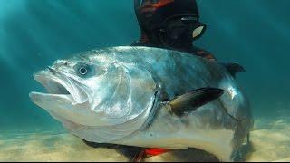 Big Leer Fish - Spearfishing movie