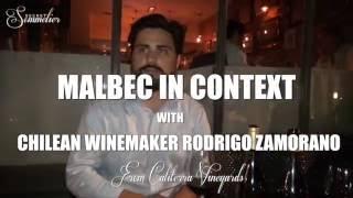 Discussing Malbec with Chilean Calliterra Winemaker