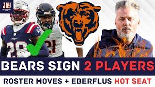 Bears Sign 2 Players + Reports of Flus FIRING if Loss To Patriots. Bears News & Updates