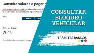 Consultar bloqueo vehicular SRI - ANT