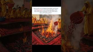When Red Chilies Feed The Sacred Fire! ”