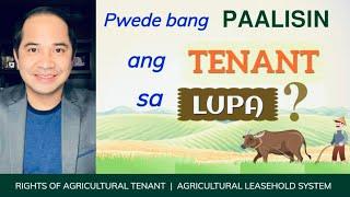 AGRICULTURAL TENANT: RIGHTS AND OBLIGATIONS UNDER THE AGRICULTURAL LEASEHOLD SYSTEM (RA 3844)