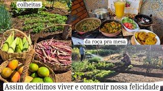 A feira é logo no quintal de casa | fartura aqui na roça | comidinha caseira / cuidado na horta