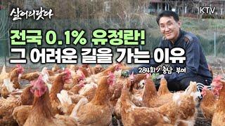 (살어리랏다)(284회) 대한민국 0.1% 동물복지 자연방사 유정란! 행복한 암탉이 낳은 달걀의 맛은? koreatv, organic, egg, farm (충남 부여)