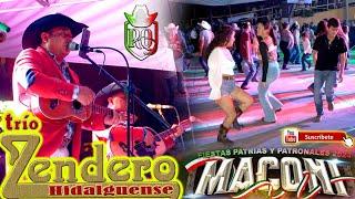 Trio Zendero Hidalguense en fiestas patrias Maconi Qro 2024