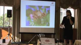 IGNITE: From Darkness into Decision by Sherry Truhlar, CAI, BAS
