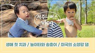 24개월 아기 브이로그 / 생애 첫 치과 / 놀이터와 송충이 / 미국에서 만난 소양강 댐 (Watson Mill Bridge State Park)