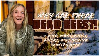 The 5 W’s Behind Winter Bees! / Beekeeping 101