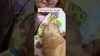 “Cat’s don’t love people” | @catladytails