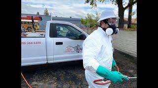 Say Goodbye to Pests for Good with Sacramento Exterminator Services in California