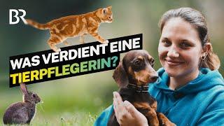 Bissige Hunde, verletzte Vögel: Das Gehalt als Tierpflegerin im Tierheim I Lohnt sich das I BR