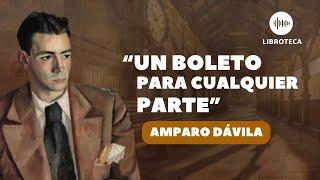 "Un boleto para cualquier parte", de Amparo Dávila ️ (cuento completo) AUDIOLIBRO | voz humana