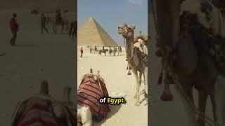 The Kingdom of Kush: 7 Magnificent African Empires 5:  #africa #ancienthistory #youtubeshorts