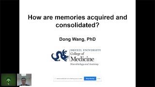 How Are Memories Acquired and Consolidated? (Dong Wang, PhD)