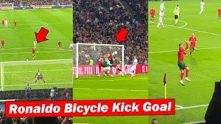 Portugal Fans Reactions to Cristiano Ronaldo's Bicycle Kick Goal vs. Poland