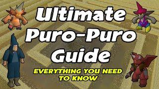 Puro Puro Guide: Everything you need to know (2021) | OSRS