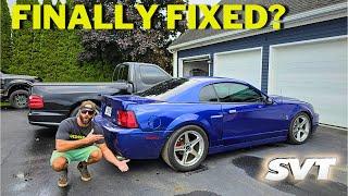 My SVT Cobra IS ALIVE on Engine #3!! But Is It Fixed??