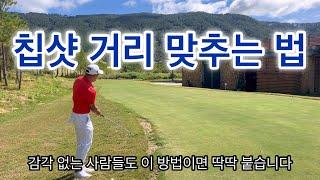 칩샷 거리 딱딱맞추는 방법 #치핑 #칩샷 #숏게임