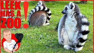 Peak Wildlife Park | Leek Zoo