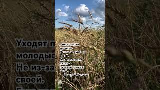 «Уходят парни молодые не из-за глупости своей, года наставшие лихие - Экзамен Родины моей» В.Липатов