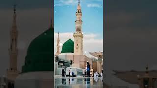 Ek bar or falsten me a rasta dekti ha masjida aqsa tera ..