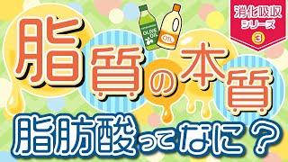 必見 【脂質】の本質 ～脂肪酸ってなに？～　消化吸収シリーズ③