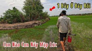 Trúng Mánh 1 Ổ Rắn Con Nào Cũng Mập Ú Bắt Mát Cả Tay | Mười Thương SB