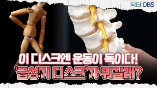 [닥터OBS] 이 디스크엔 운동이 독이다! '급성기 디스크'가 뭐길래?