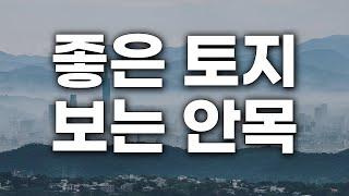 이 땅은 황금 땅입니다. 지금은 그렇게 안 보이죠? | 좋은 토지 보는 법