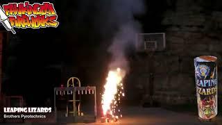 Leaping lizards video - Firework Fountain