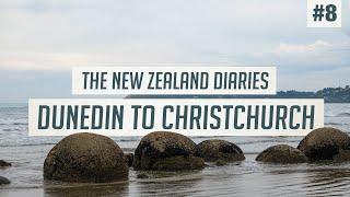 Blue Penguins, Moeraki Boulders & Akaroa | Dunedin to Christchurch Roadtrip | New Zealand Guide #8