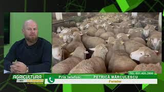 Agricultura la Raport Ovidiu Ghinea P4 11 11 2024