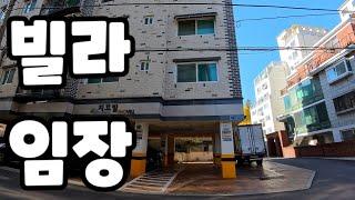 2층이 빌라 로얄층 맞죠. 초보 경매인 임장 브이로그