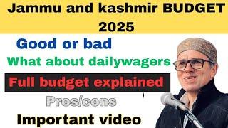 JAMMU AND KASHMIR BUDGET 2025 ll DAILYWAGERS UPDATE ll GOOD OR BAD ll IMPORTANT VIDEO