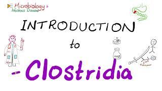 Introduction to Clostridia (Clostridium tetani, botulinum, perfringens, difficile) | Microbiology 