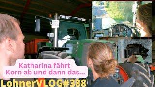 LohnerVLOG#388 Fendt 818 zerstört sich beim Getreide abfahren I New Holland 8050 I Striegeln Saphir