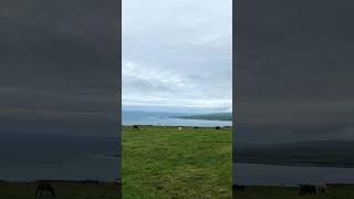  Living on the Edge #ireland #horses #cliff