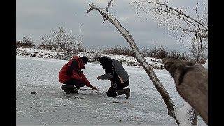 В ЭТИХ ДРОВАХ ПОЛНО КАРАСЯ!!!!! ВОТ ЭТО ПЕРВОЛЕДЬЕ!!! Балансир и мормышка по первому льду!